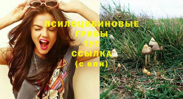 mix Армянск