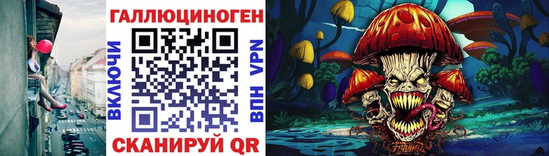 Галлюциногенные грибы Psilocybe  дарнет шоп  Курлово 